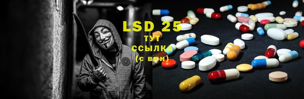 прущие грибы Абинск