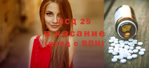 прущие грибы Абинск