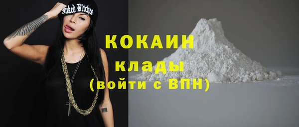 прущие грибы Абинск