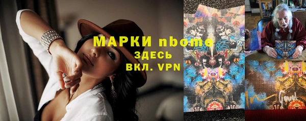 прущие грибы Абинск