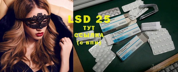 PSILOCYBIN Абаза