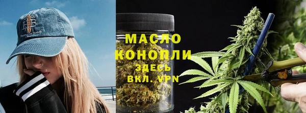 прущие грибы Абинск