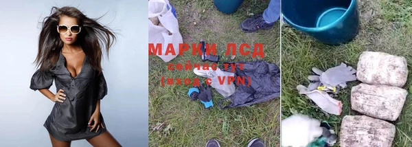 прущие грибы Абинск