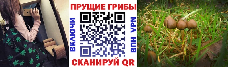 Галлюциногенные грибы мухоморы  Ковров 